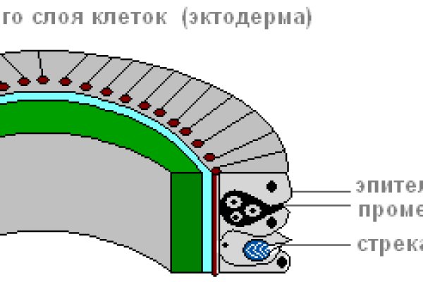 Ссылки на кракен com